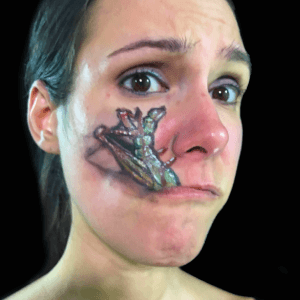 The Ten Plagues - Locusts Design Video by Shelley Wapniak