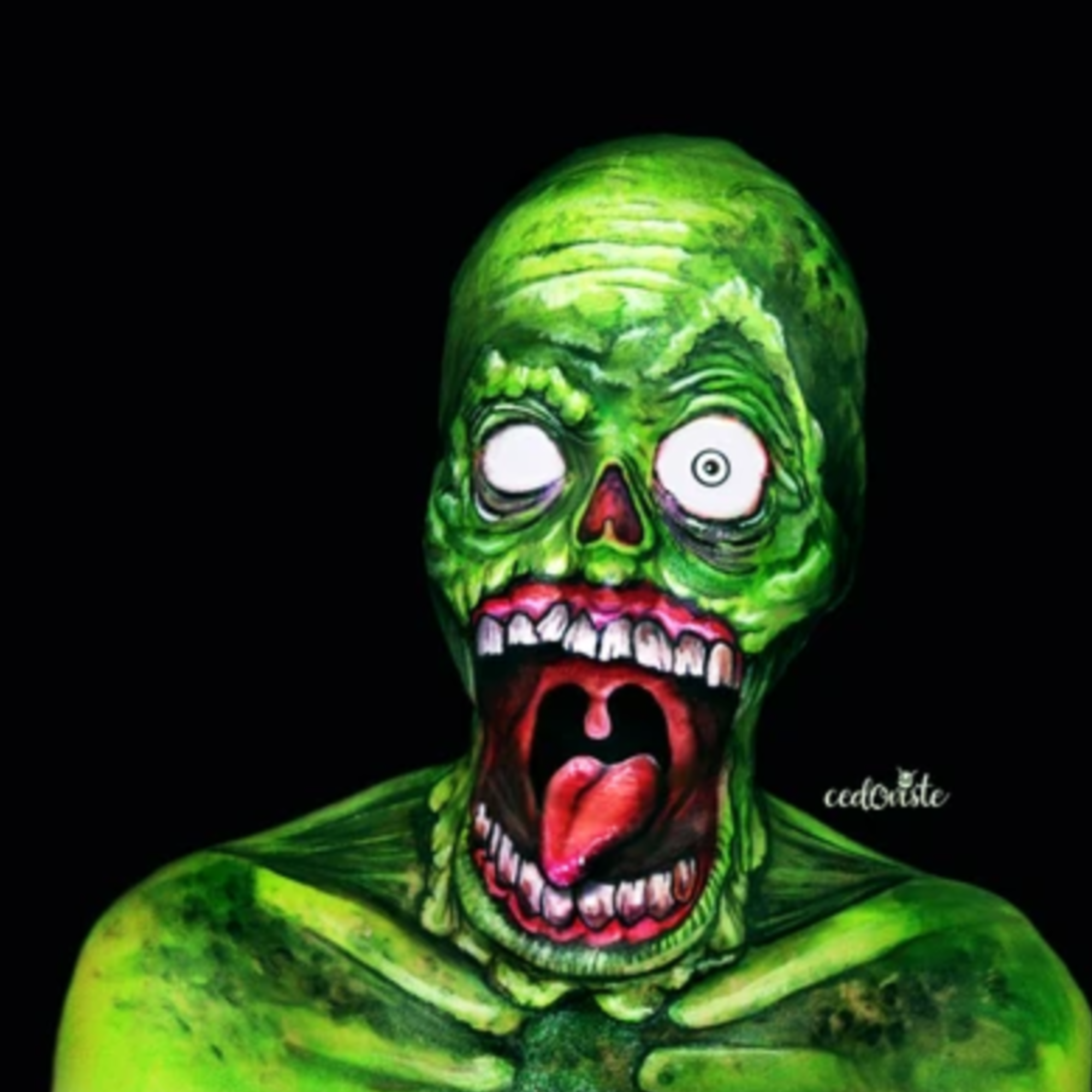 Pop Art Zombie Video by Ana Cedoviste