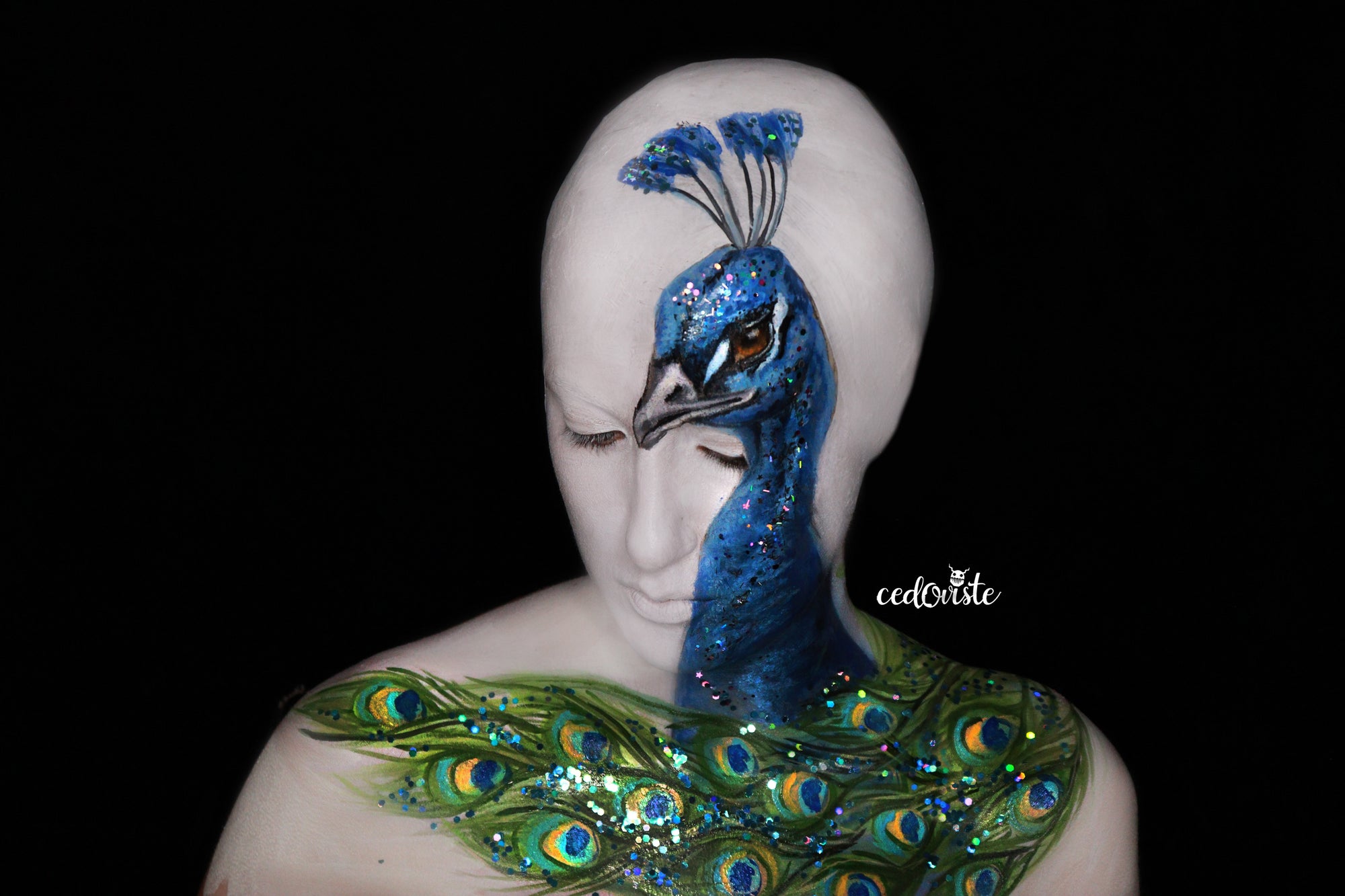 Peacock Face Paint Design Video by Ana Cedoviste